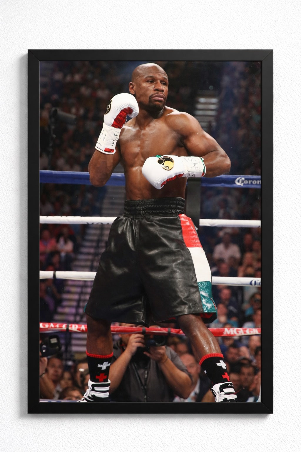 CUADRO DE FLOYD MAYWEATHER